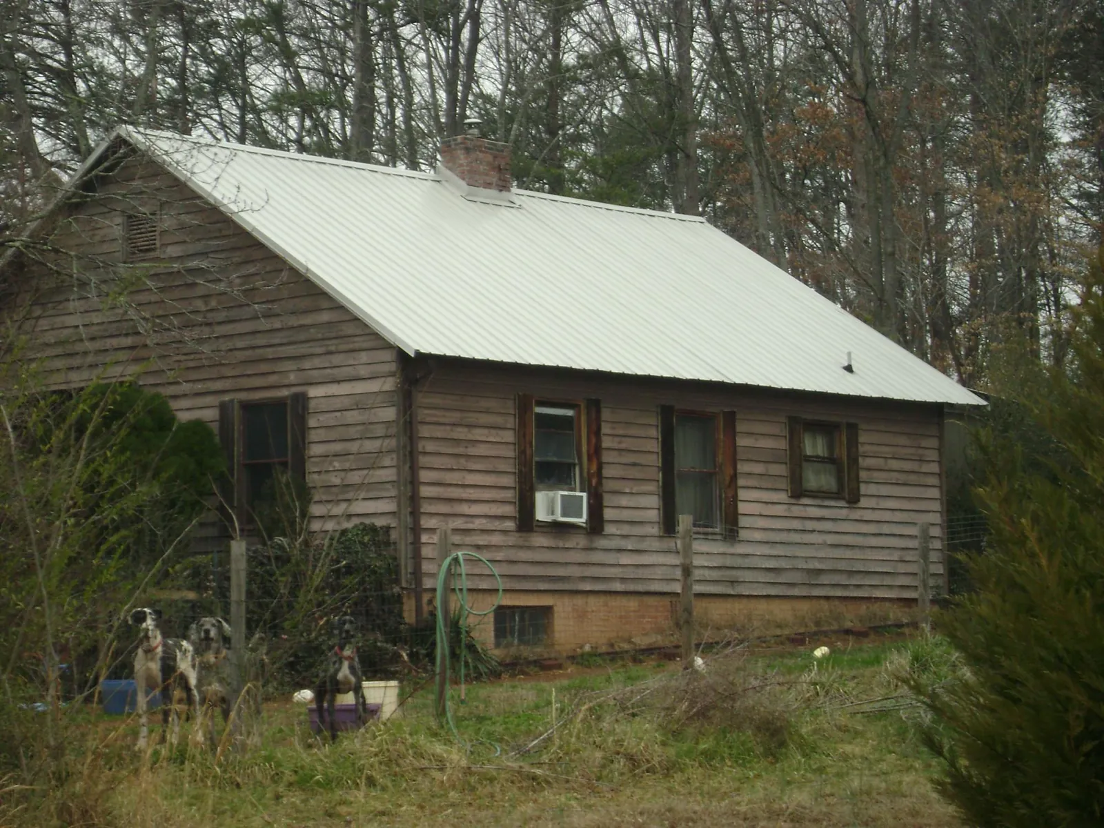 White metal roof on an old wood sided farmhouse, from a Asphalt Shingle Roof Repair job in Ellington